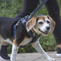 Durable Tilt Denim Dog Harness
